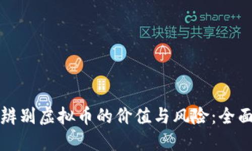 如何辨别虚拟币的价值与风险：全面指南