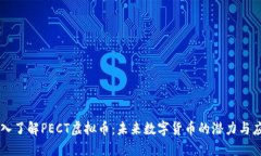 深入了解PECT虚拟币：未来