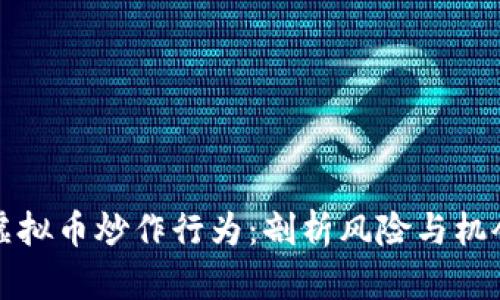 虚拟币炒作行为：剖析风险与机会