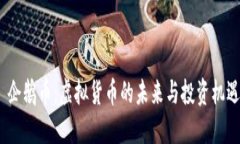  企鹅币：虚拟货币的未来