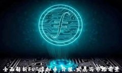 全面解析FDG虚拟币：价值