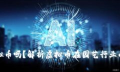 园家支持虚拟币吗？解析
