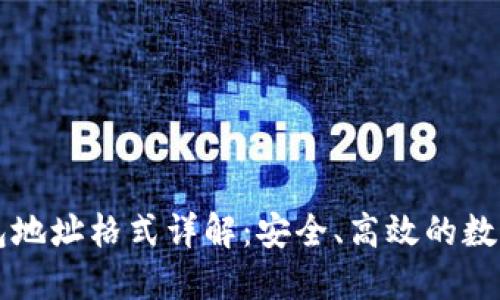 虚拟币钱包地址格式详解：安全、高效的数字资产管理