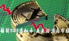 深入解析BDS虚拟币：未来