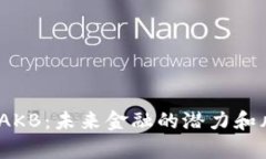 :虚拟币AKB：未来金融的潜