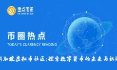 新加坡虚拟币社区：探索