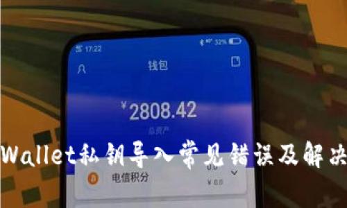 : TPWallet私钥导入常见错误及解决方案
