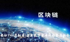 揭秘YMk虚拟币：未来数字
