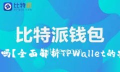  TPWallet安全吗？全面解析