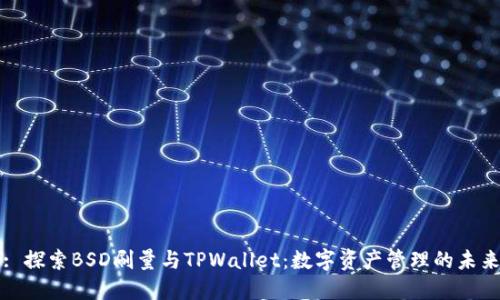 : 探索BSD刷量与TPWallet：数字资产管理的未来