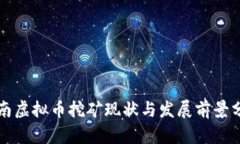 河南虚拟币挖矿现状与发