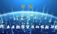 虚拟币OC：未来数字货币的