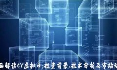 全面解读CY虚拟币：投资前