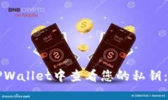 如何在TPWallet中查看您的私