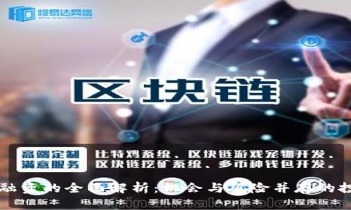 虚拟币融资的全面解析：机会与风险并存的投资新宠