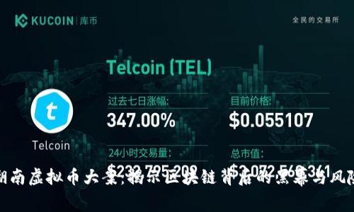 湖南虚拟币大案：揭示区块链背后的黑幕与风险
