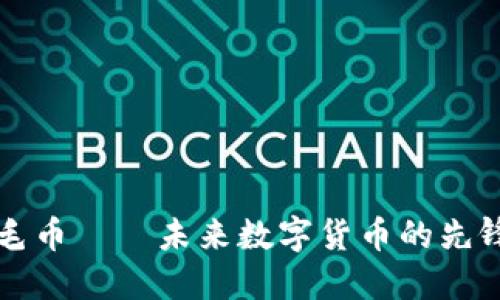 虚拟币毛币——未来数字货币的先锋与挑战