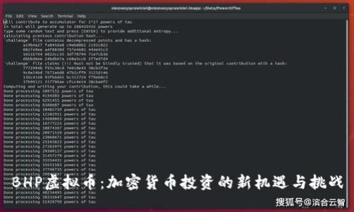 BHP虚拟币：加密货币投资的新机遇与挑战