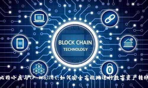 比特小鹿与TP Wallet：如何安全高效地进行数字资产转账