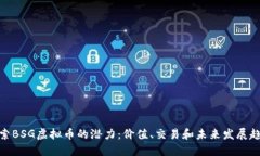 探索BSG虚拟币的潜力：价