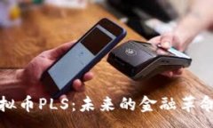 :深入探索虚拟币PLS：未来