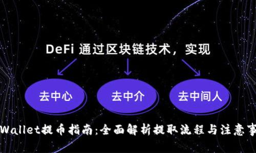 TPWallet提币指南：全面解析提取流程与注意事项