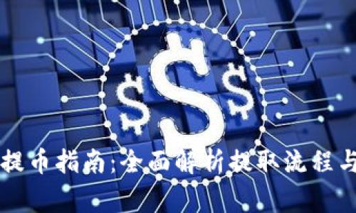 TPWallet提币指南：全面解析提取流程与注意事项