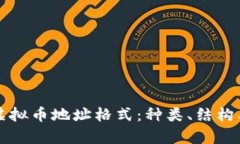 全面解析虚拟币地址格式