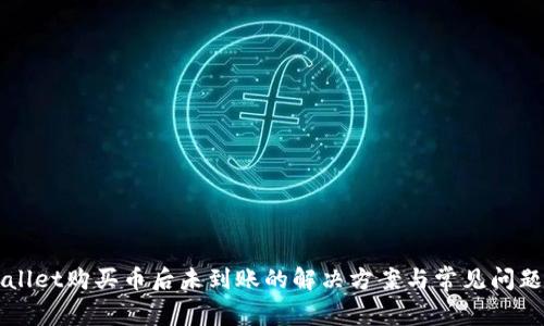 TPWallet购买币后未到账的解决方案与常见问题解析