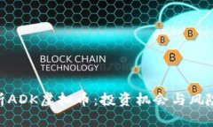深入解析ADK虚拟币：投资