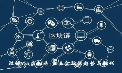 理解via虚拟币：未来金融的趋势与挑战