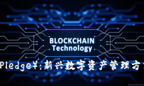虚拟币质押（Pledge）：新兴数字资产管理方式的深度解析