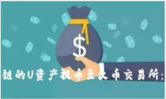 如何将TPWallet BC链的U资产