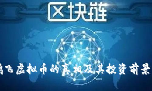 王鹏飞虚拟币的真相及其投资前景分析