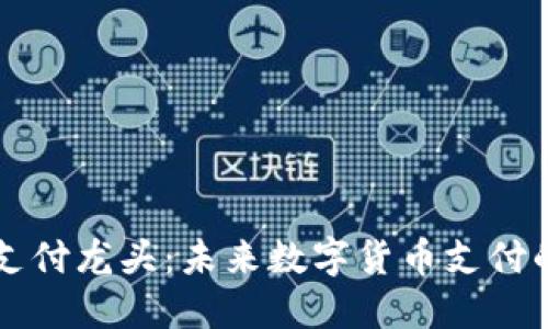 虚拟币支付龙头：未来数字货币支付的引领者