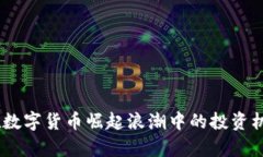 虚拟币789：在数字货币崛