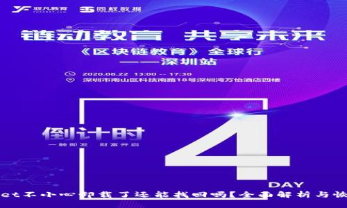 TPWallet不小心卸载了还能找回吗？全面解析与恢复方案