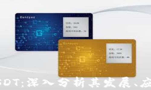
中国虚拟币USDT：深入分析其发展、应用及未来前景