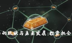 无锡虚拟币的现状与未来