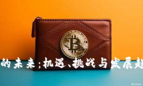 虚拟币的未来：机遇、挑战与发展趋势分析
