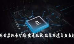 广东省虚拟币矿场：发展