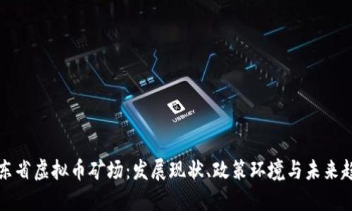 广东省虚拟币矿场：发展现状、政策环境与未来趋势