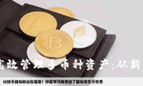 如何利用TPWallet高效管理多币种资产：从新手到高手的实用指南