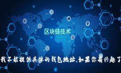 中本聪钱包地址是一组由
