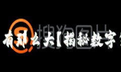 虚拟币交易的风险真有那
