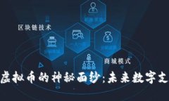 揭开KOPAY虚拟币的神秘面纱