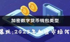 虚拟币暴跌：2023年加密市