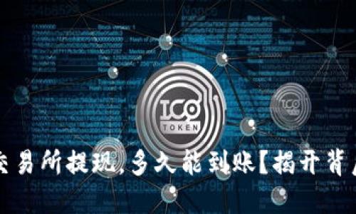 虚拟币交易所提现，多久能到账？揭开背后的秘密