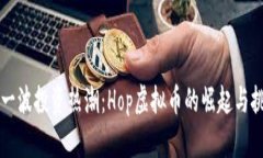 新一波投资热潮：Hop虚拟