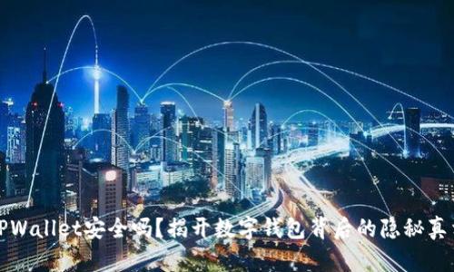 TPWallet安全吗？揭开数字钱包背后的隐秘真相